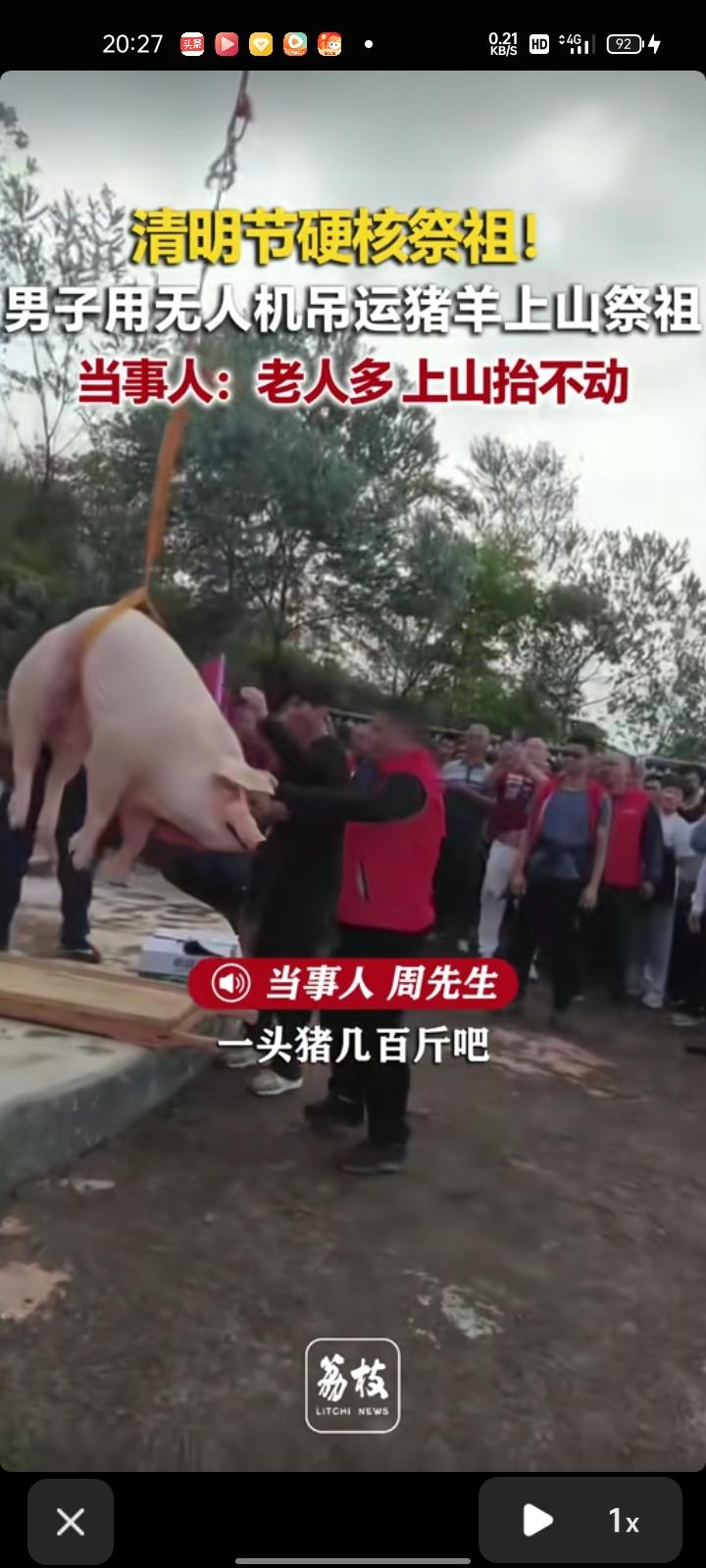 4月4日，梅州市五华县。清明节出现硬核祭祖，男子用无人机吊运猪羊上山祭祖，飞了大