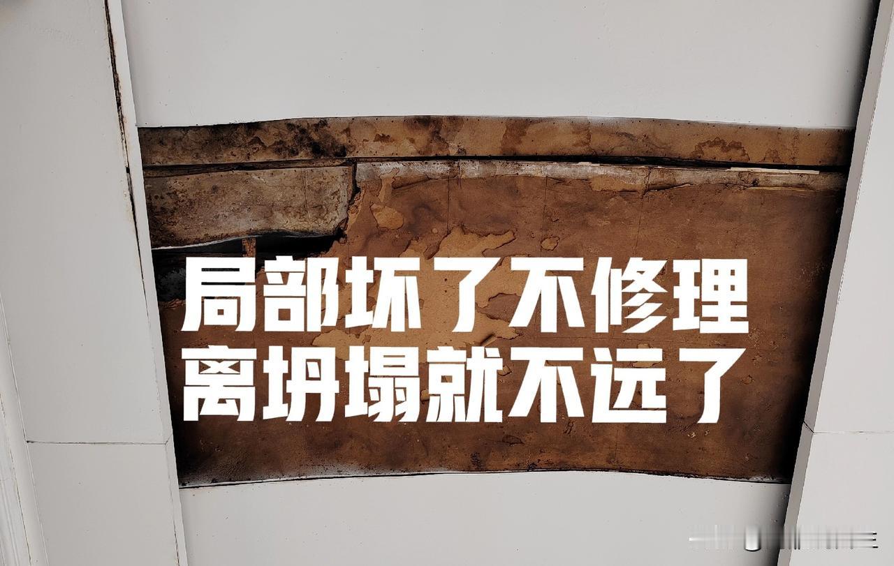如果说Al都能做到这些，那我们还真不反对它来抢饭碗！白冰偷税漏税竟然是税务局的“