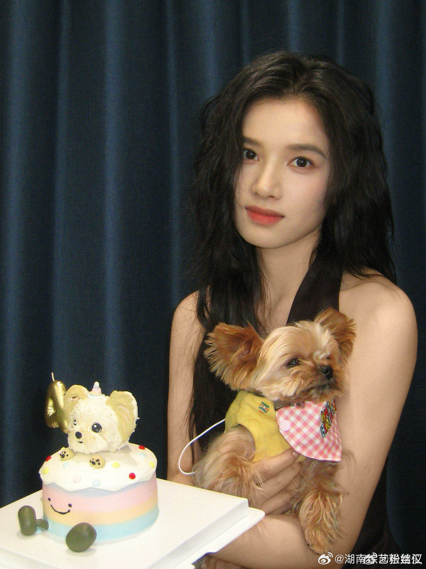 张婧仪张婧仪将参加4月9号你好星期六