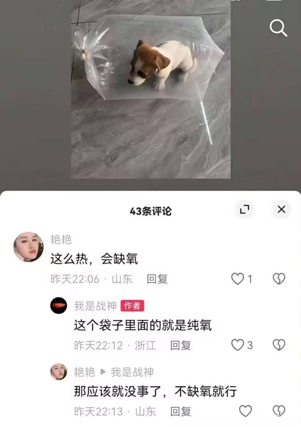 不是，你确定里面是纯氧[？？？]