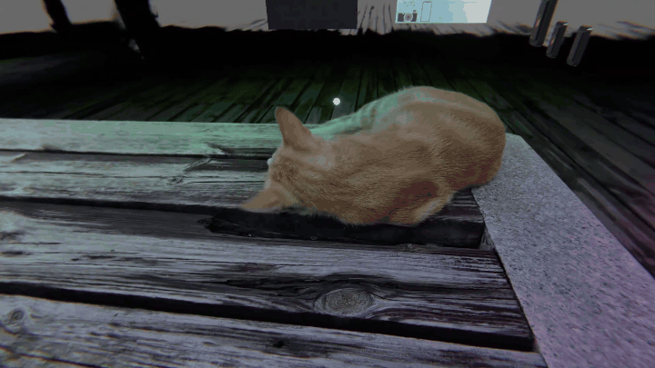 超逼真的VR小猫​​​