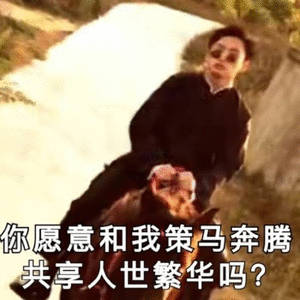 区块链如果说我有一波行情，可以让你一周翻2次仓，但是需要执行力强，听指挥，你