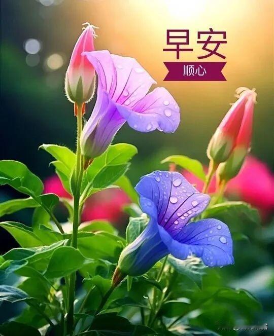 我的今日状态：😁轻松愉快我这里的天气：阴天，今天气温最高8℃，最低零下2℃，