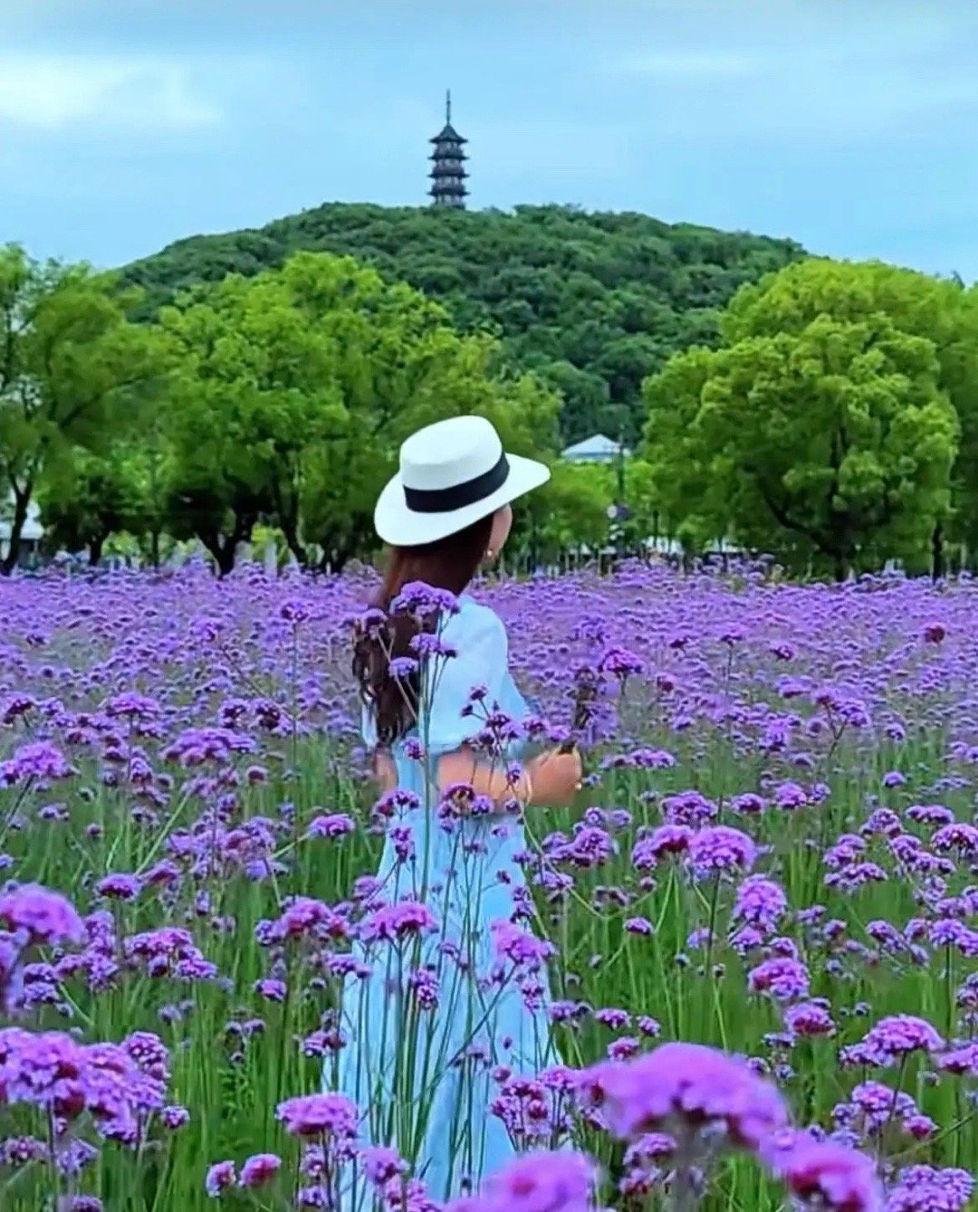 记住六句话口诀，就能预判股票涨跌。准到什么程度呢？误差几乎为零。毫不夸张的说，看