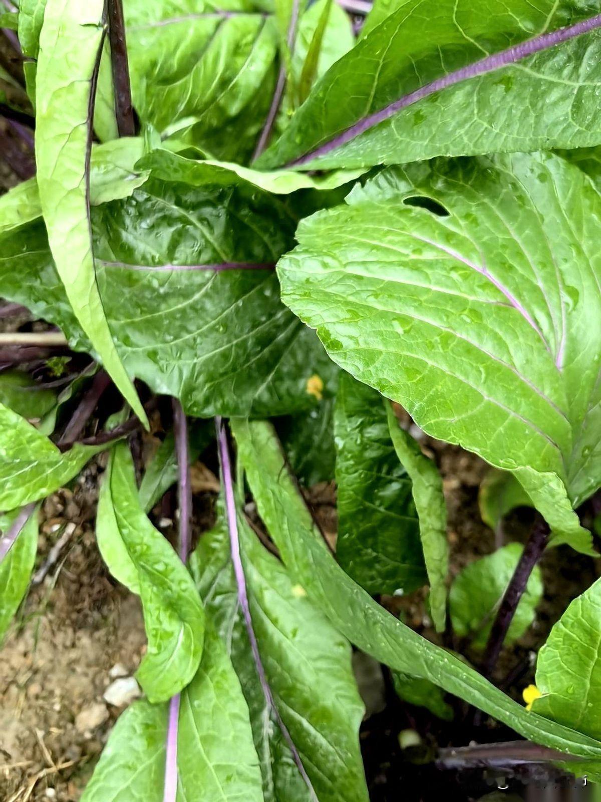 离了婚才发现，二婚市场上那些所谓的“优质男”，什么老师啊，央企的啊……都是鬼。