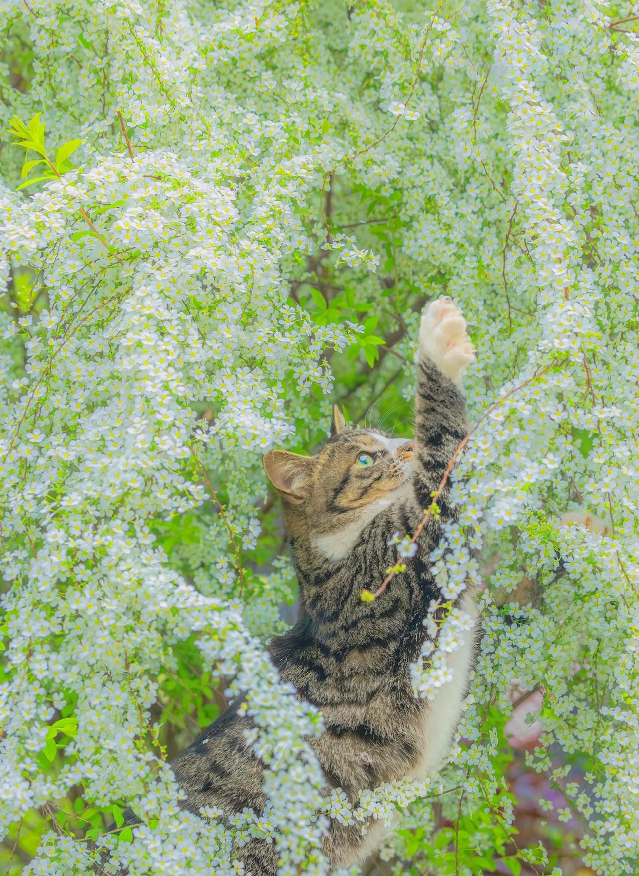 爱情是个伪命题把人们耍的团团转，你以为的爱情可能90%都是错觉还是要清醒一些，