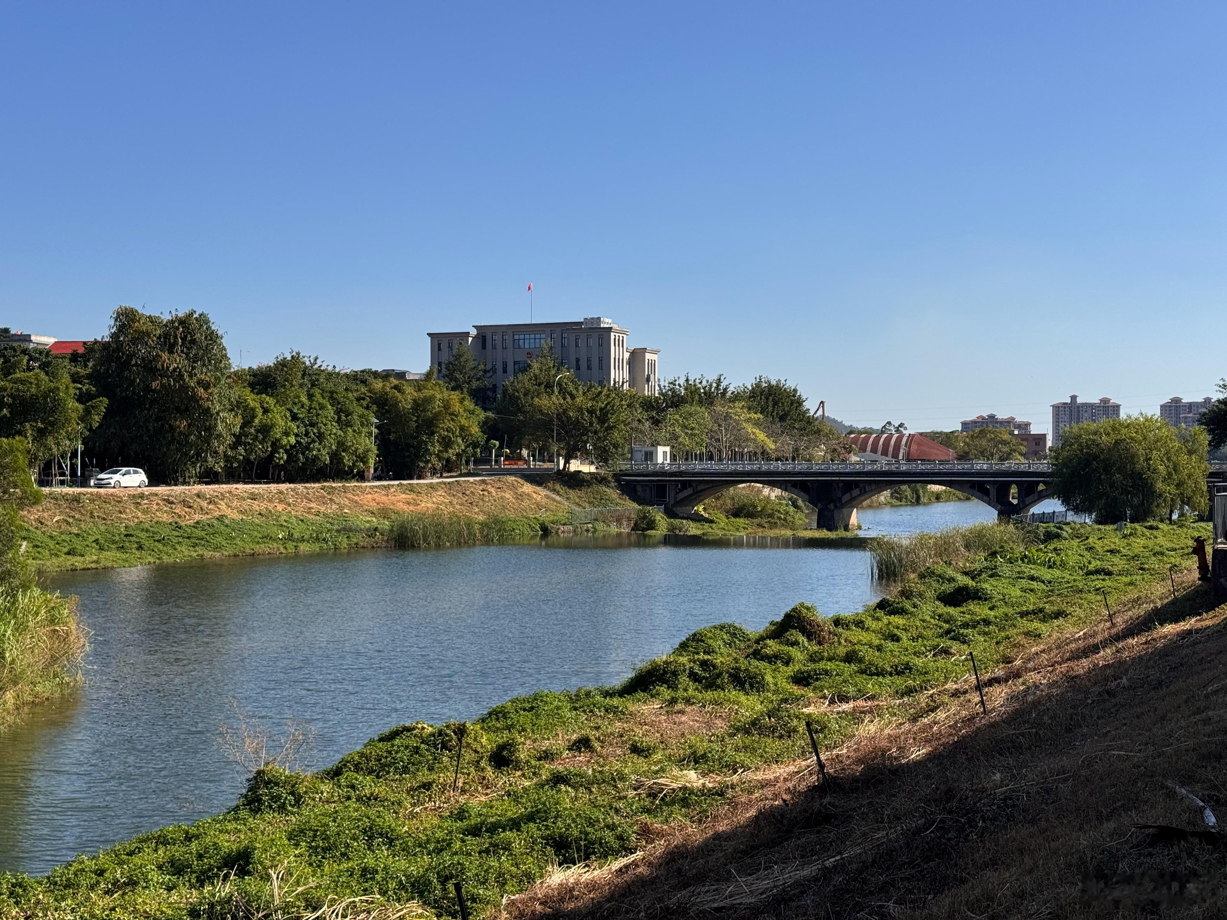 不小心见证食材的一生...