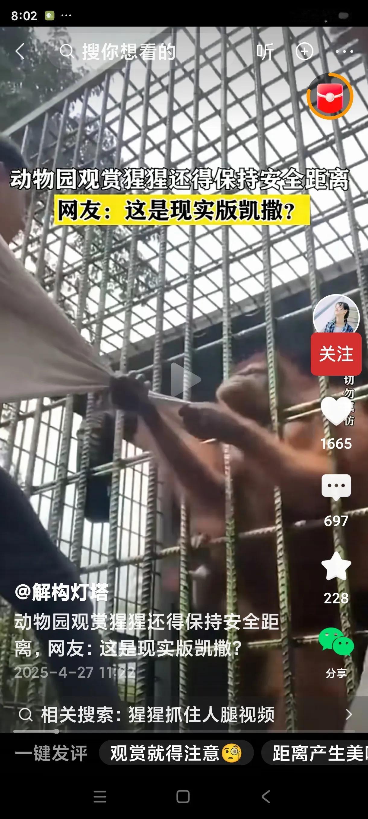 大家看看这个动物园发生的问题，是怪游客？还是怪动物园？游客在动物园观赏大猩猩，