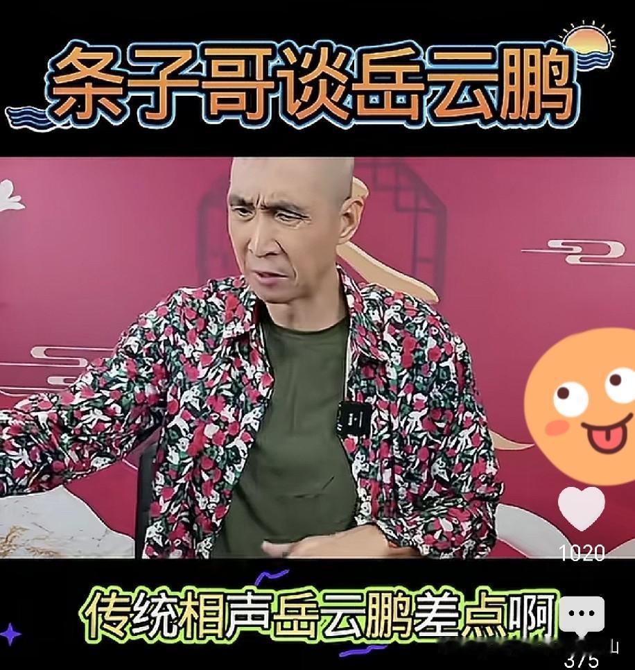 杨议搭档条子坦言，德云社岳云鹏传统相声功底稍欠火候，但他自有独一份的逗趣路数，就