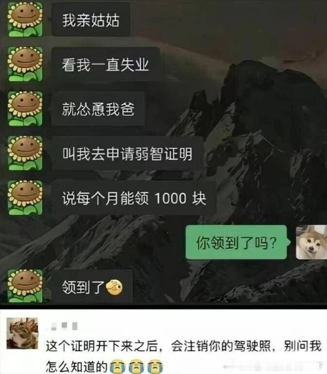 6291有得有失？