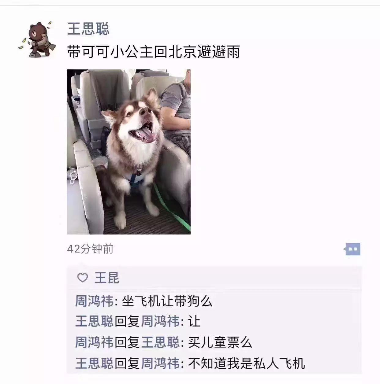 以前互联网上有个梗，就是王思聪发了张带狗坐飞机的照片，当时被贫穷限制了想象力的3
