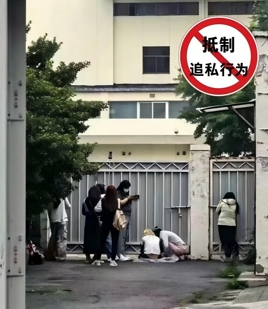跑到国家级训练局门口追星，体育总局发话，无底线追星，终于闹到被官方定性追责！