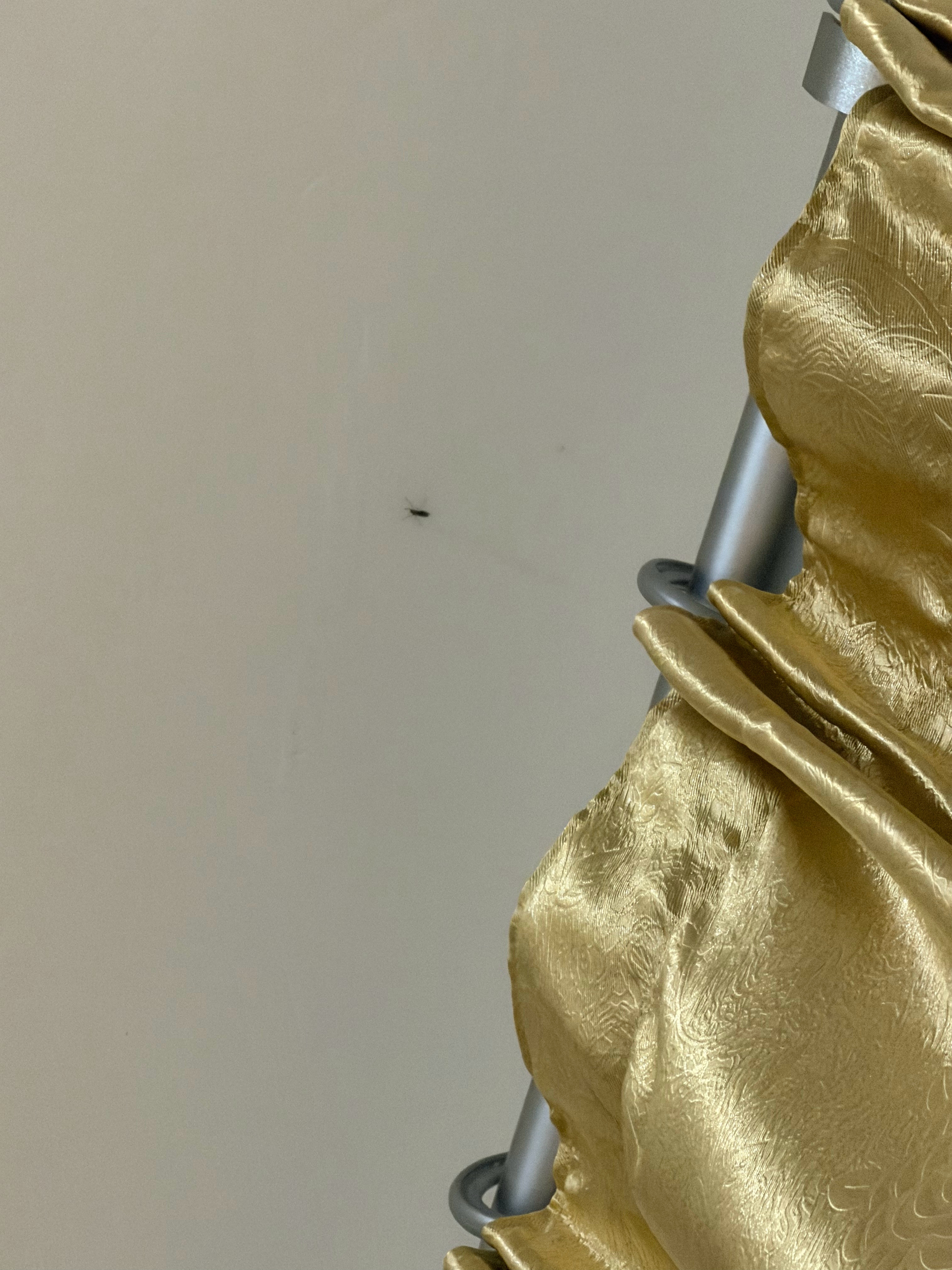 天花板上有一个蚊子，我该怎么弄死它，没有苍蝇拍，没有蚊香液，没有杀虫喷雾，没有灭