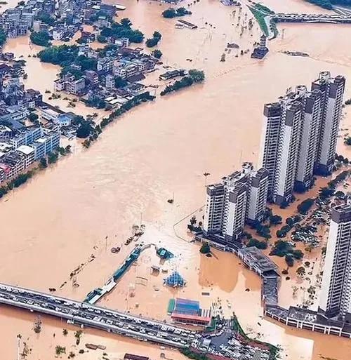 广东洪水为何无人捐款？真相扎心：自救成常态，捐款反成‘糊涂账’！