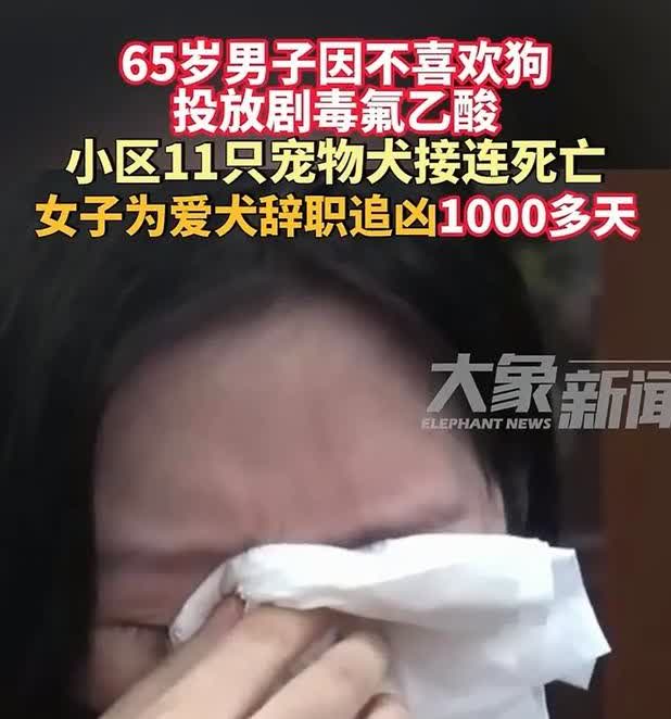 真的是震碎三观！万万没有想到女子为了爱犬，竟然辞掉了工作，追凶1000多