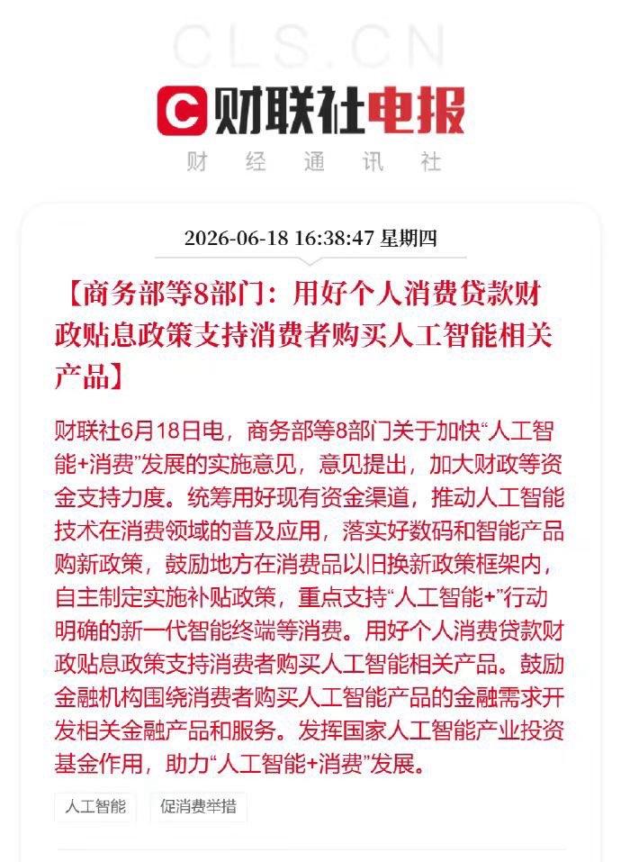 【琅河财经】中国AI真的玩疯了，第一见政府鼓励个人贷款买AI的😅原文：