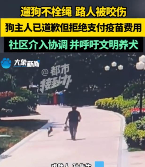 7月13日河南郑州，遛狗没拴绳，咬伤一男子，打狂犬疫苗全部费用下来得2000多，