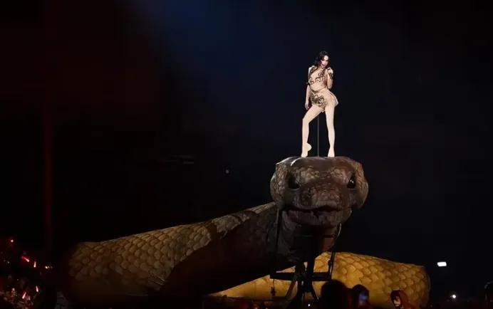 有些网友是不是魔怔了？蔡依林演唱会最近炸上热搜，不是因为唱功，而是因为一条3