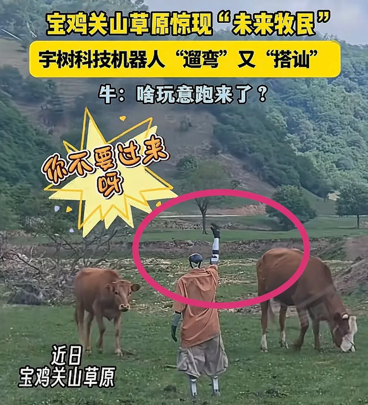 宇树机器人又上热搜了，这次不是因为它的主人王兴兴，而是因为它竟然出现在草原上了。