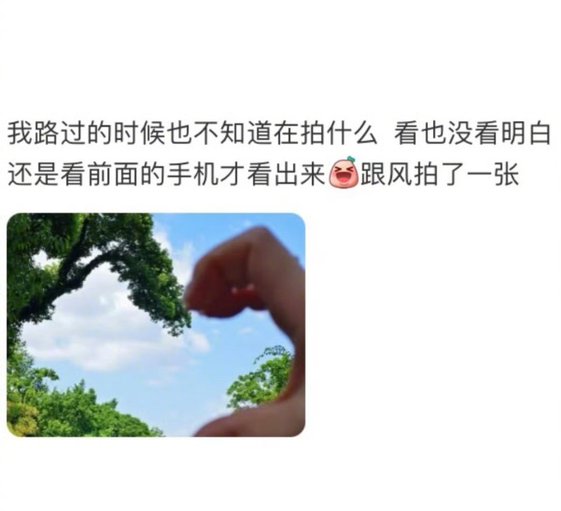 官方景点还没捂热，游客的奇思妙想已开辟出新「江湖」，主打一个自成一派！​​​