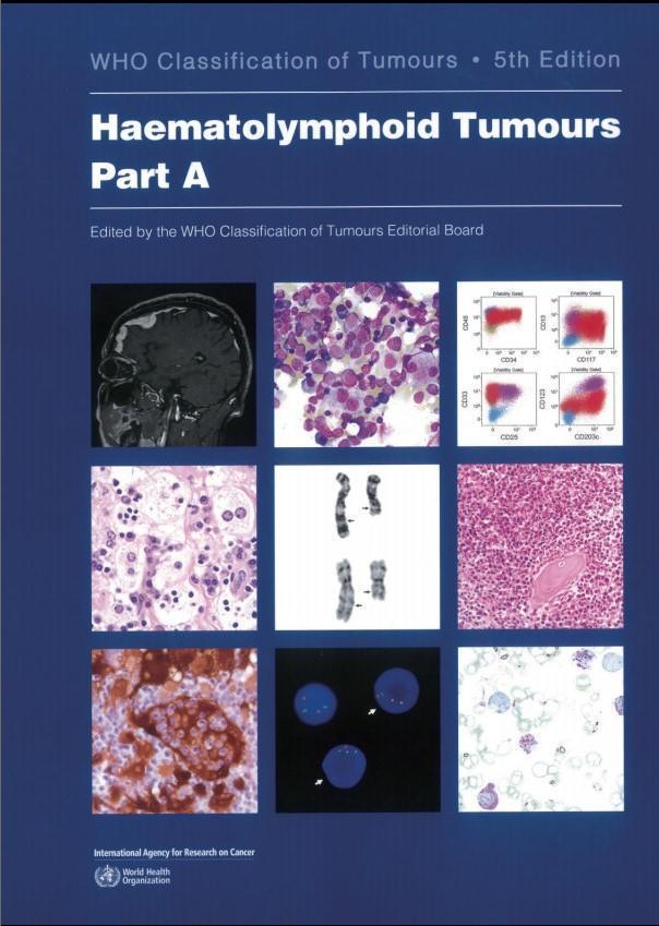 中国学者主导突破RARG重排急性髓系白血病获WHO权威认定