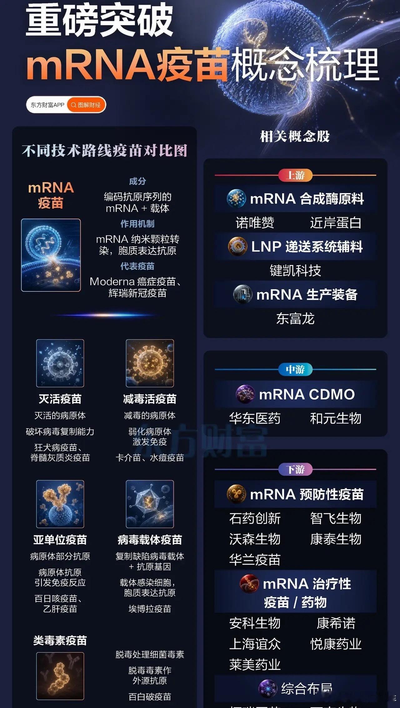 全球首个！mRNA肿瘤疫苗III期成功，人类抗癌史被改写！美东时间8月19日，全
