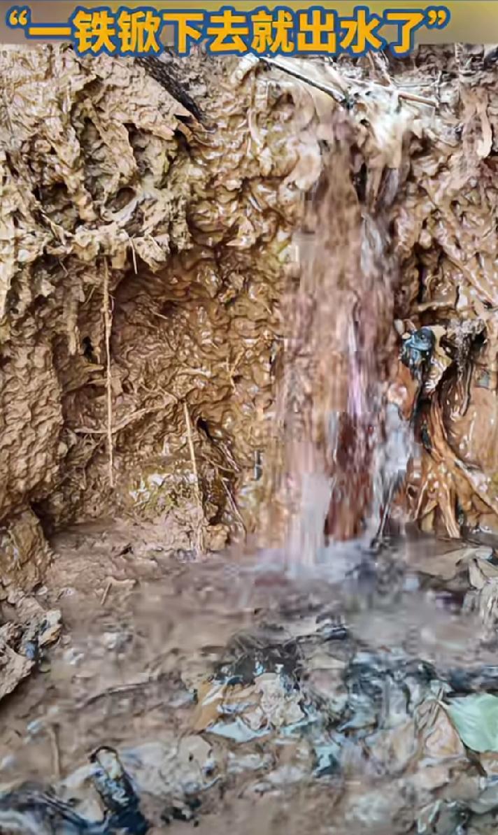 这正常吗？郑州南部多处泉眼复涌，一铁锨下去，旧泉眼处水冒得一股一股的。刚开始