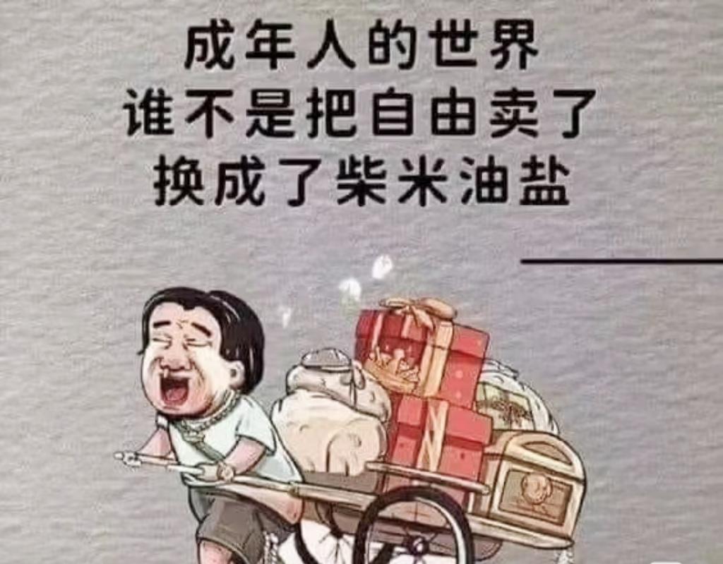 说说你对成年人自由的概念是什么…成年人的自由，本质是「有选择的权利，更