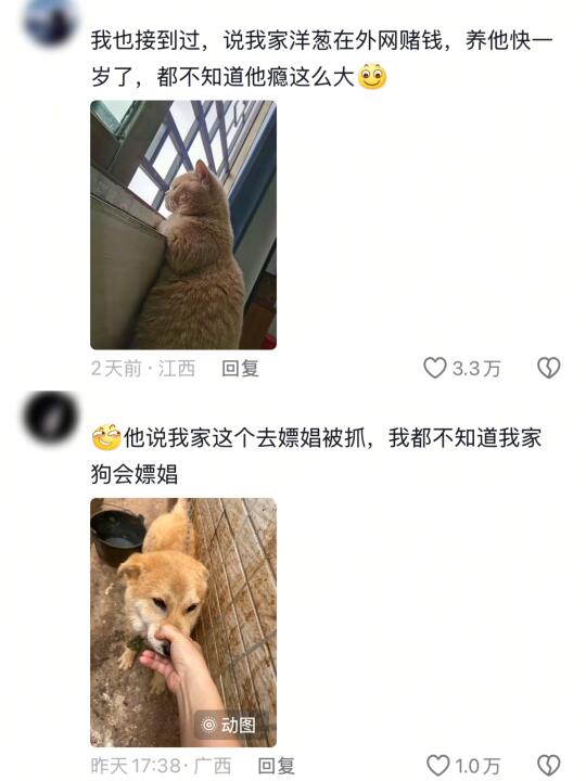 说我家狗骗人，我这就回去盘问它