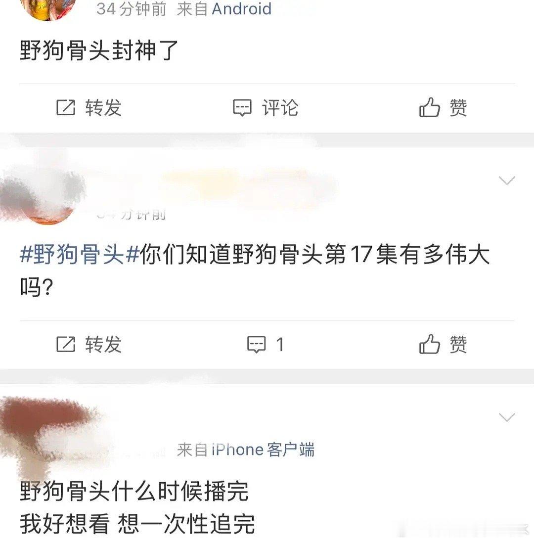 野狗骨头口碑还不错，好多剧粉在夸