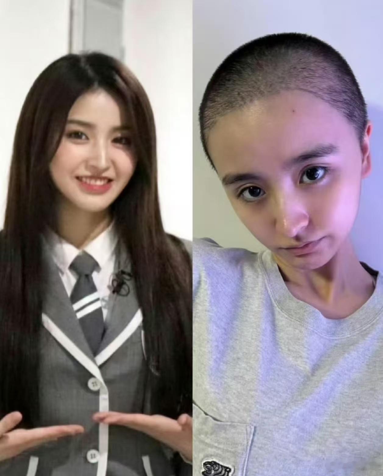 金子涵说的是谁金子涵突然发文崩溃求救，直指自己长期被人恶意引导、精神与身体双重逼