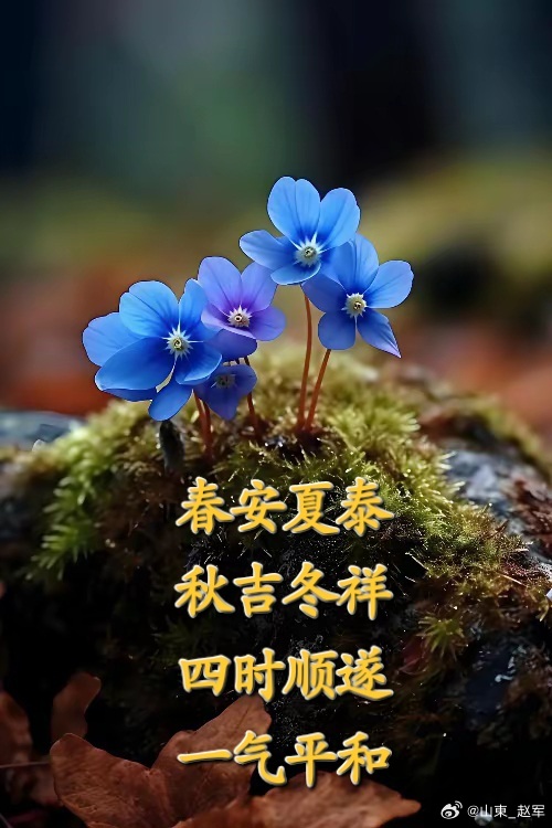 中医不传口诀：带天往上走，带地往下走，一眼懂药性1.天为阳，往上走天属阳，药多