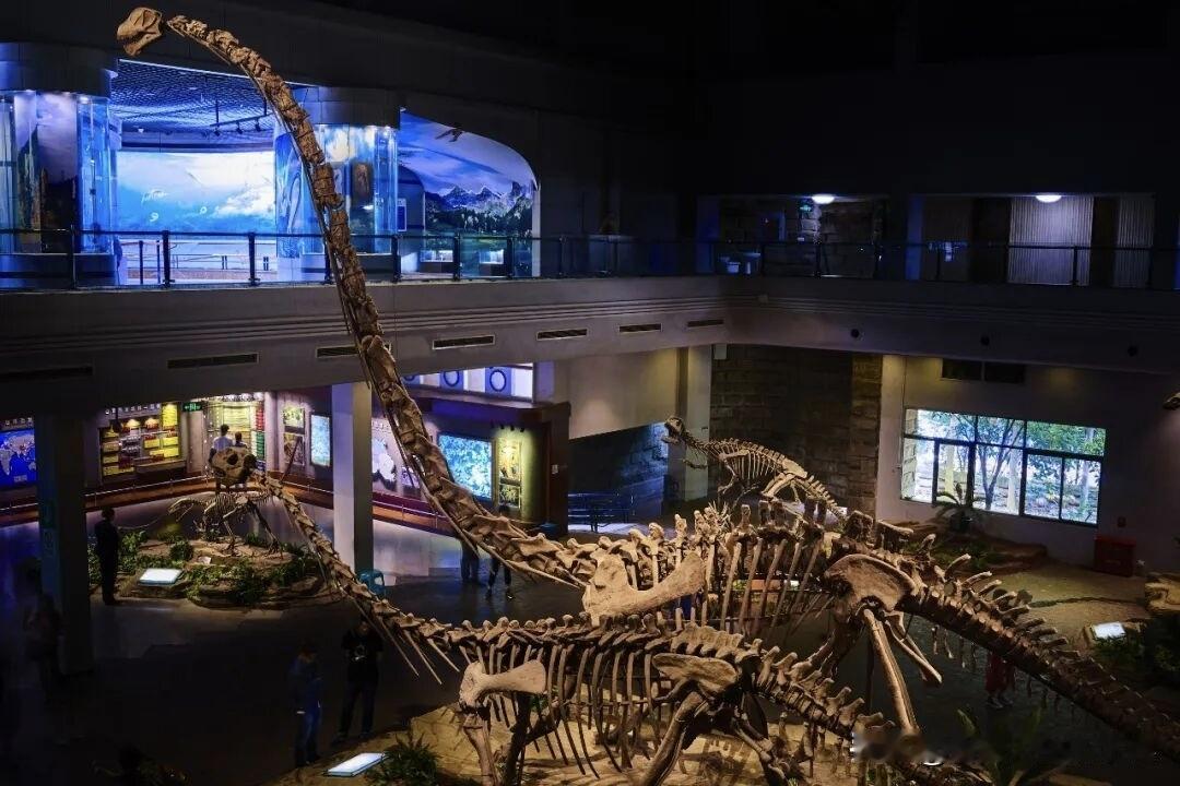 2026年自贡恐龙灯会闪亮登场，但是如果去自贡仅仅看灯会，显然离不虚此行还是有差