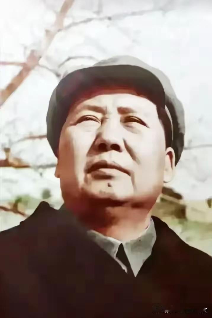 为什么全世界普通人，都在深深怀念毛主席？答案太戳心如今打开手机，满屏都是不