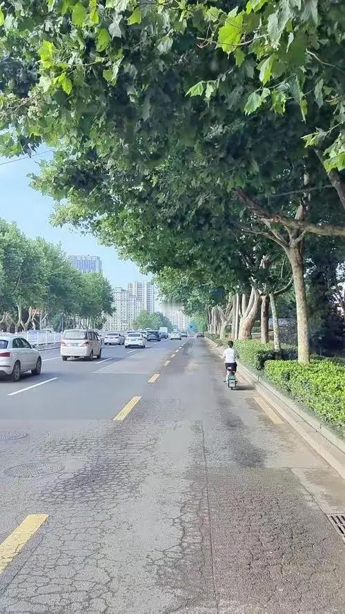 人生难得好心情，向好想好打拼中！打拼劳累的更累，生活急需更猛冲！！[作揖