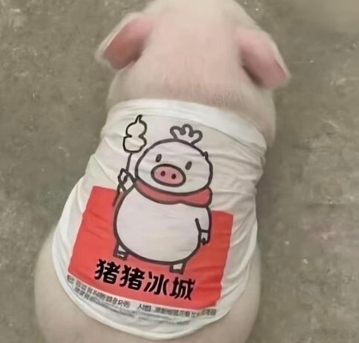 我完全不懂抑郁症可以好的这么快吗？