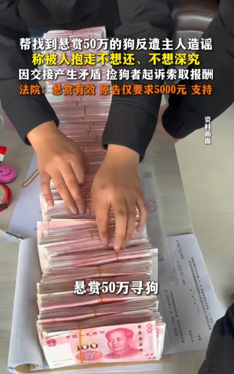 河南信阳，一男子公开悬赏50万元寻狗，捡狗人带回家照料并主动寻找失主，跨市归还时