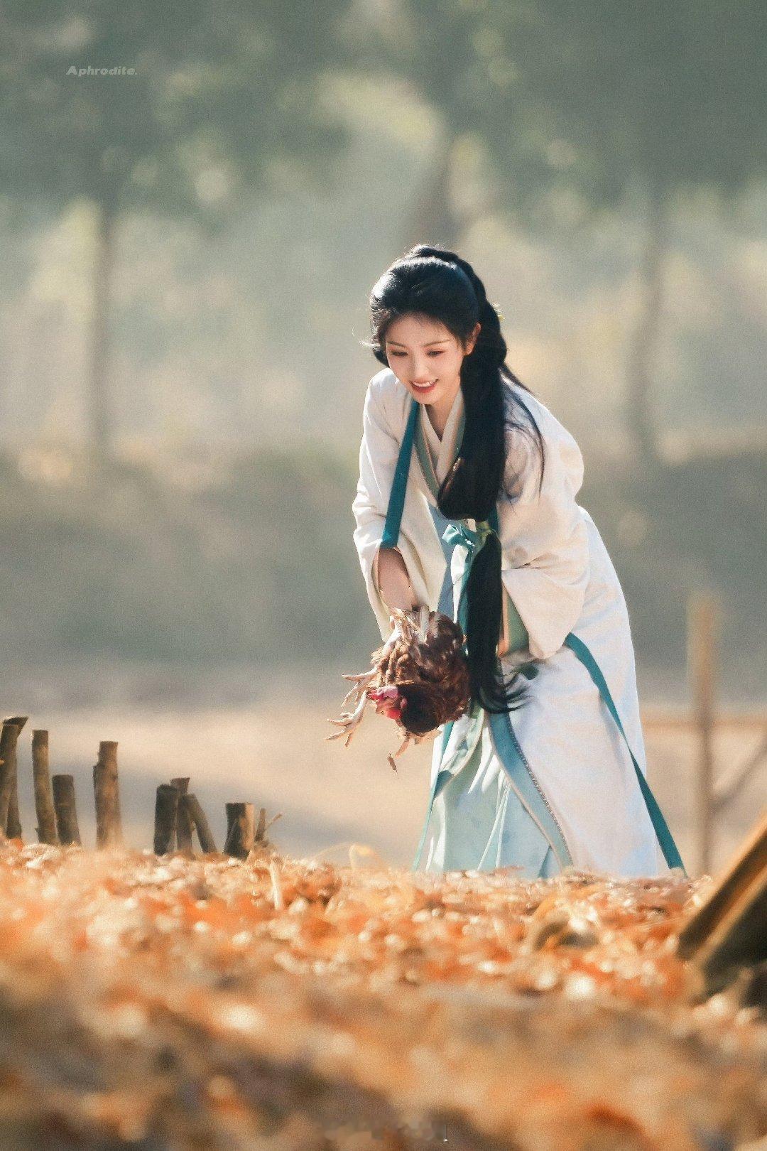 田曦薇主演的《嫁金钗》最新路透图来了，抓鸡也抓出来了唯美感呢，笑的也是真的很甜啊