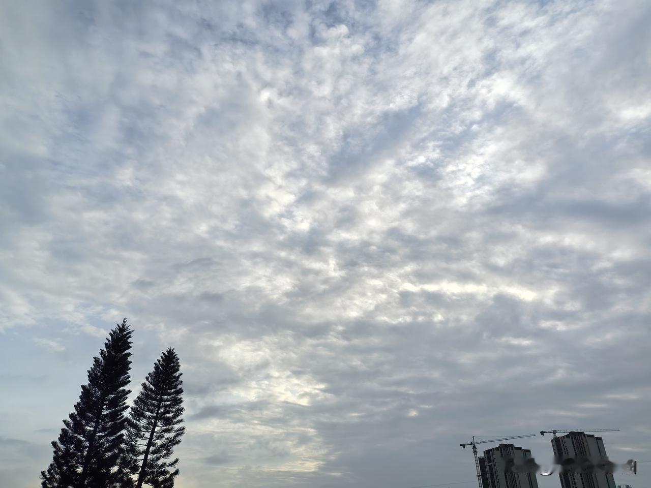 冷空气广东三日游！本轮冷空气过程最冷的时刻就是今天早晨了，粤北地区有5℃以下低温