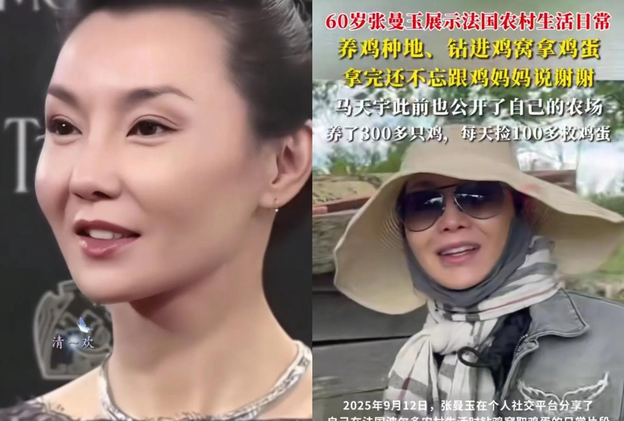 奉劝大家一句，不要再被张曼玉的样子骗了，她的养鸡生活跟大家想的完全不一样！