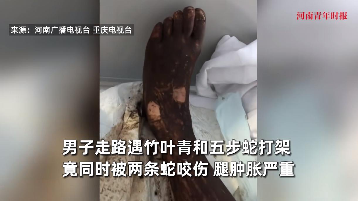 “电视剧都不敢这么演！”8月19日，安徽，一大爷在家门口走路玩手机时，没有看到前