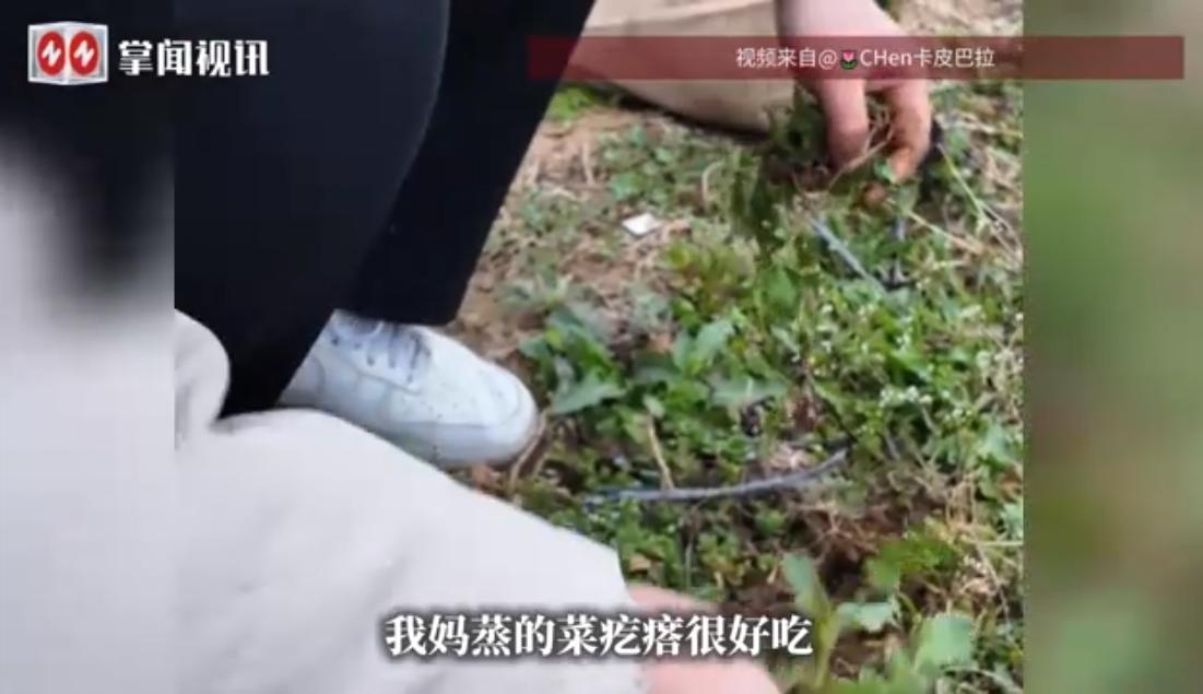 近日，陕西咸阳一女孩分享另类相亲经历，相亲对象主动约她挖野菜，称要体验接地气约会