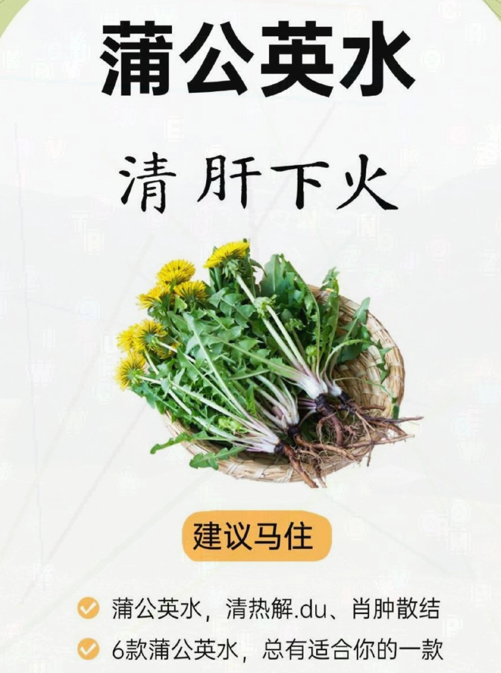 蒲公英六配清甘可下火散结消痘📚中医理论认为，蒲公英性寒味微苦，归肝、胃二经，具
