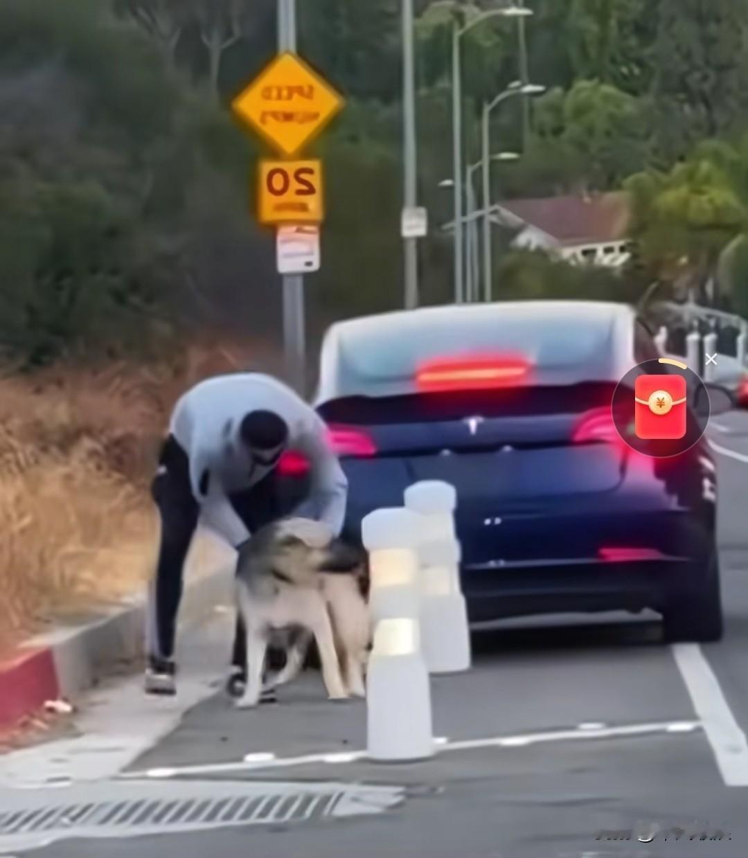 男子驾车将狗狗带到了荒无人烟的地方，自以为做得天衣无缝，却没料到这里有监控记录下