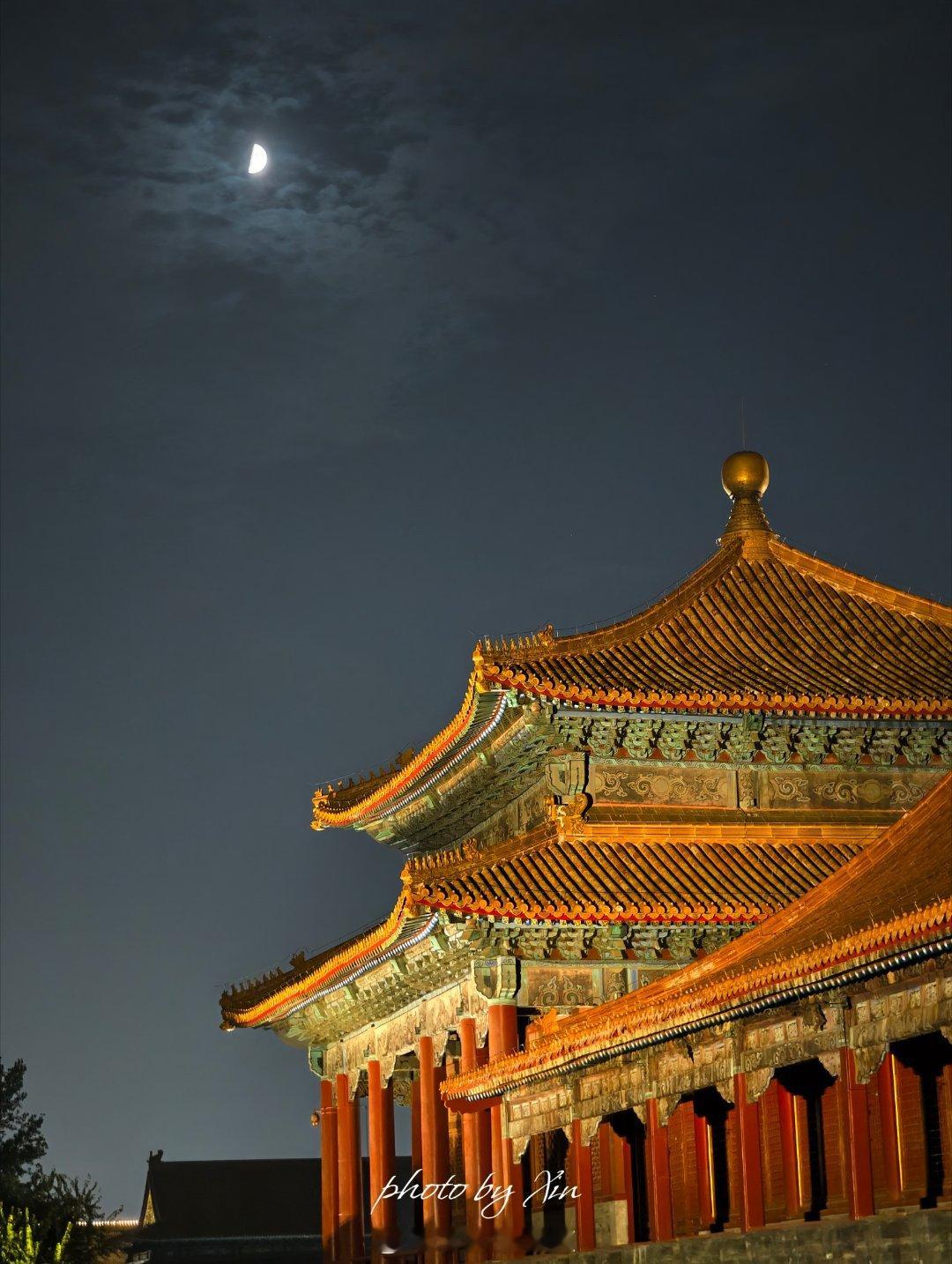 晚上的故宫和偶遇的宫猫故宫故宫老霍随便聊​​​