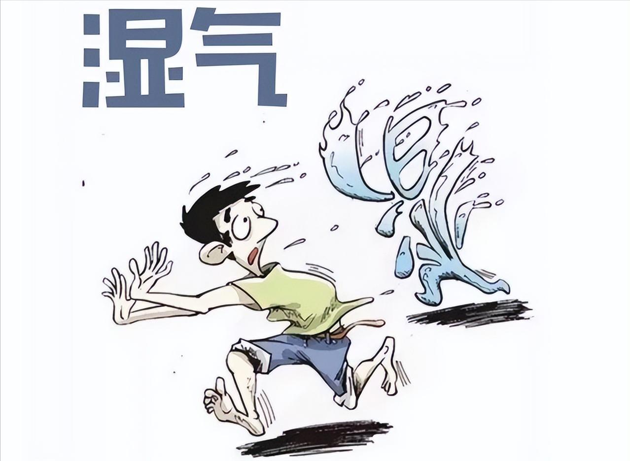 中医关于湿的表述湿有内外之分，外湿为六淫之一，常先伤于下（人体腰