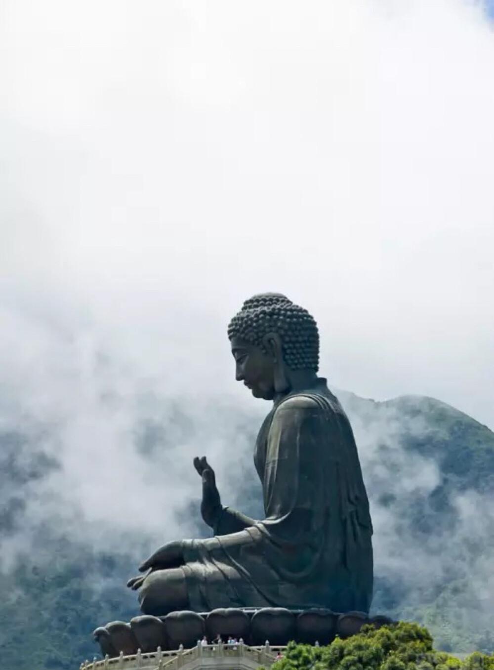 你试图想改变的人和事，都是自我坚固意识的投射。与其说渡人，不如说是自渡。