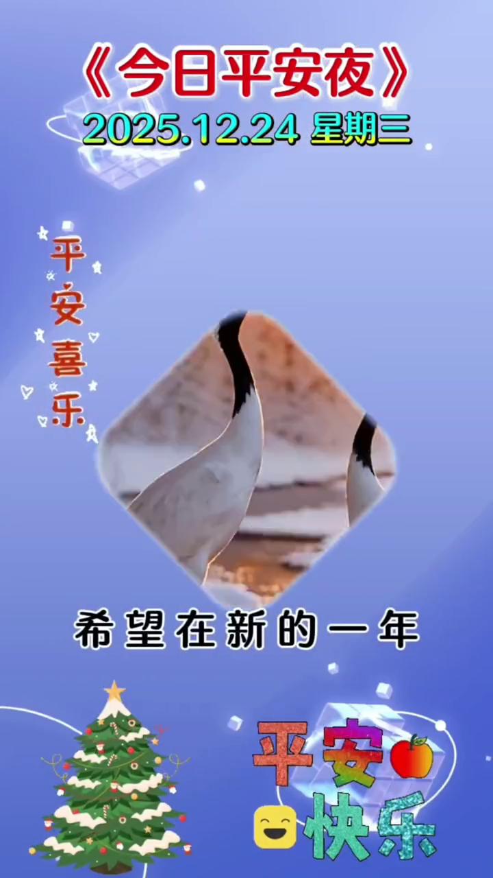 今日平安夜。今天就是平安夜了，愿我所爱之人冬暖人长安，夜夜平安，天天平安，年年