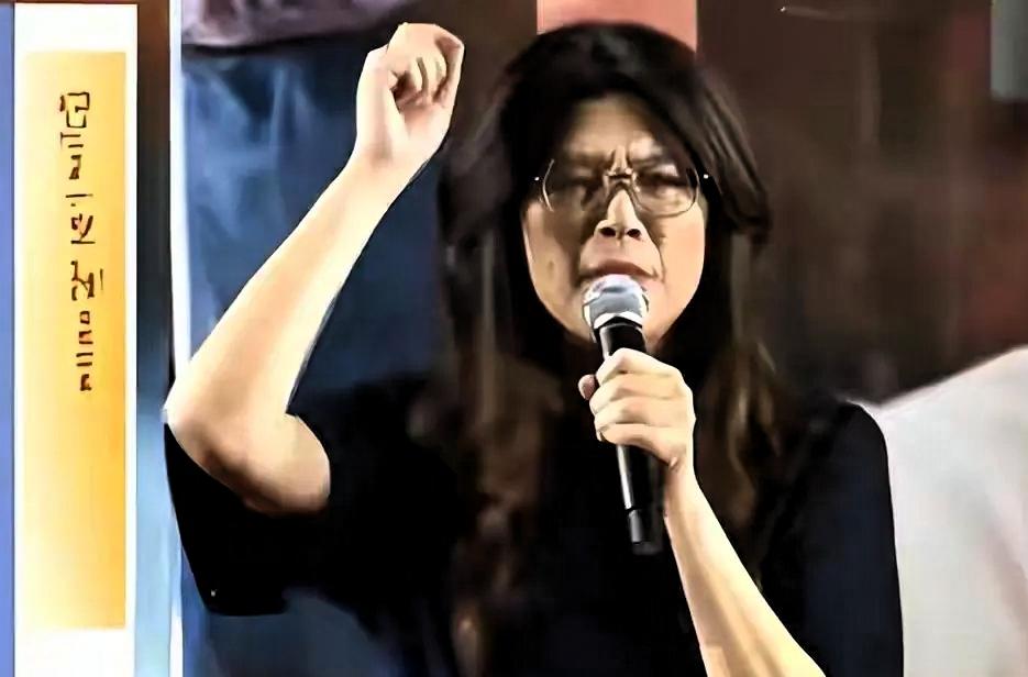 郑丽文甩出全程录像铁证！谣言被当场戳穿，赵少康步步紧逼反翻车最近这两天，台