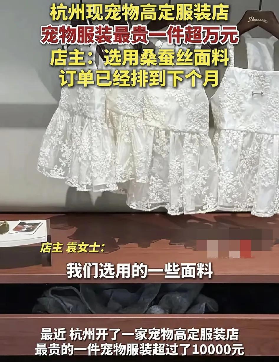 近日，杭州一家宠物高端定制服装店引发了大家关注，一将宠物衣服高达上万元，据店主说